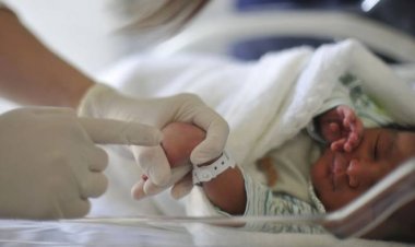 Pais e bebês prematuros devem ficar juntos, defende campanha