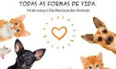 14 de Março: Dia Nacional dos Animais – Uma data para refletir, adotar e proteger