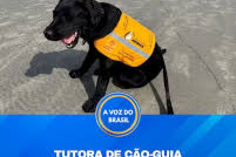 Caso de cão-guia em treinamento na Praia da Baleia gera revolta e reacende debate sobre acessibilidade