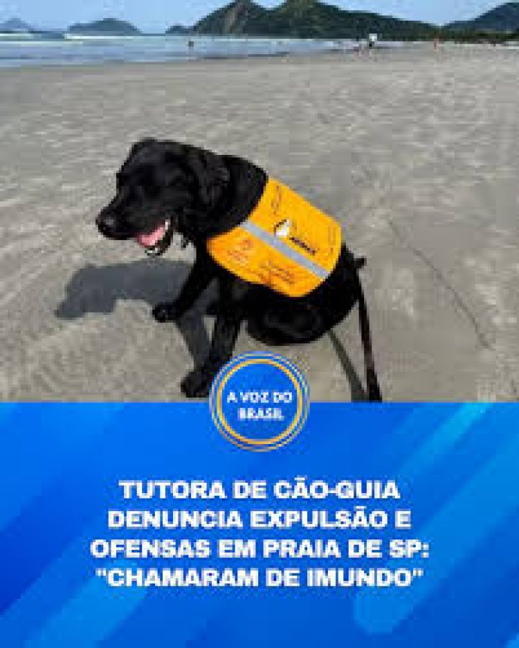 Caso de cão-guia em treinamento na Praia da Baleia gera revolta e reacende debate sobre acessibilidade